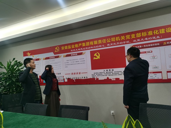 安徽鹽業(yè)地產(chǎn)集團機關(guān)第一黨支部開展“佩黨徽、誦誓詞、贈黨章、上黨課”黨員教育活動